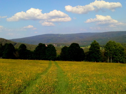 Můj Bože, Trojice, tobě se klaním