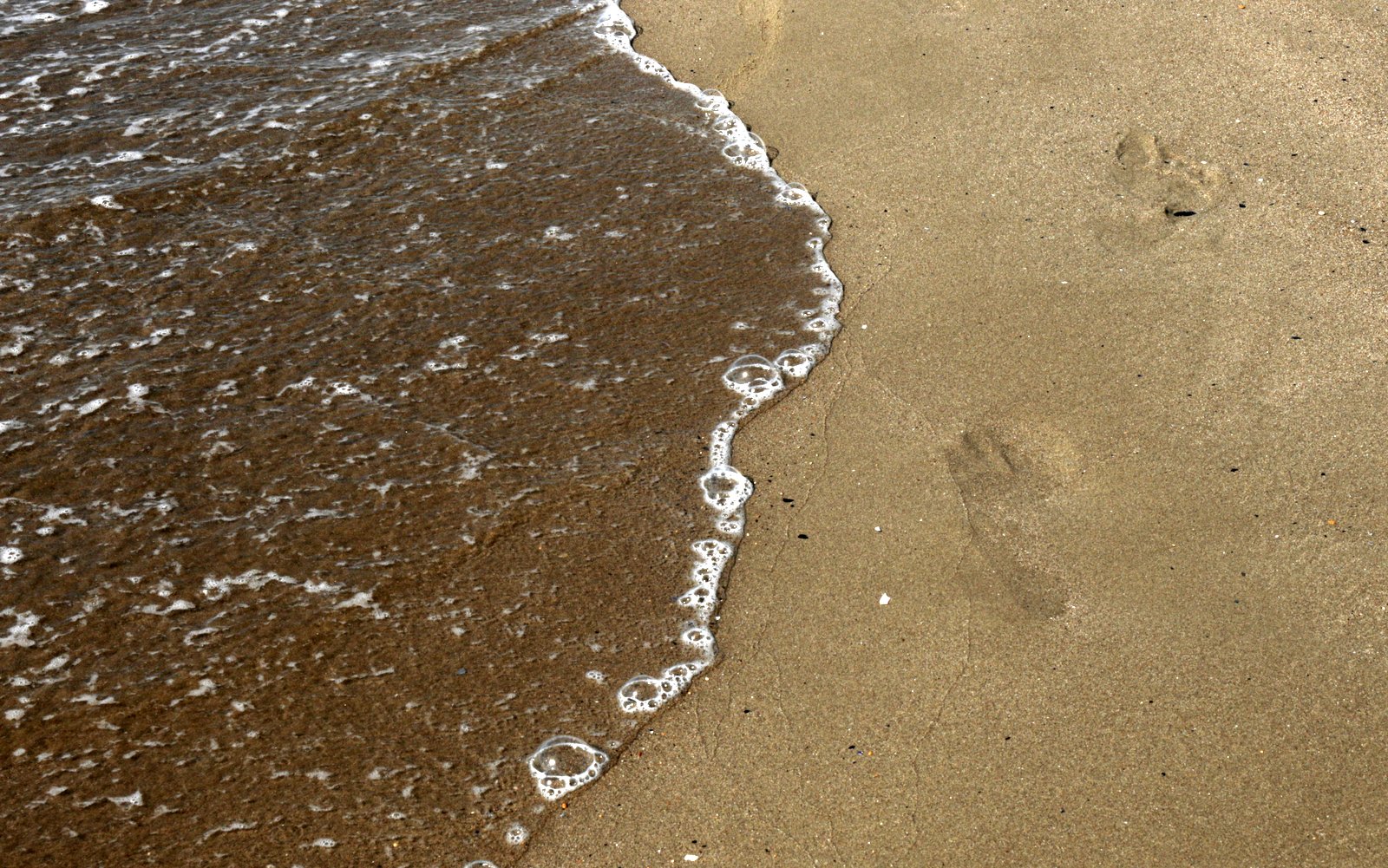 moře, písek, stopa, pláž / foto Michal Němeček