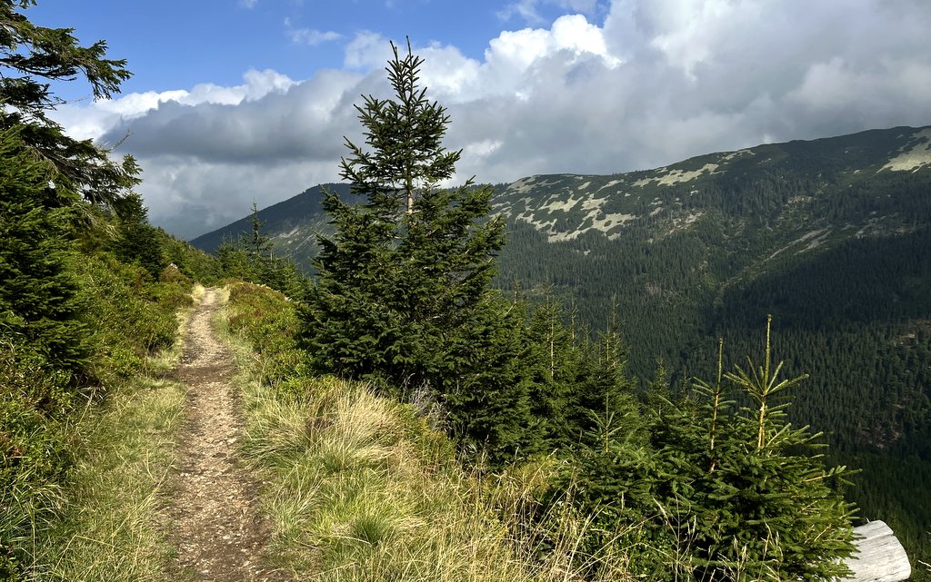 cesta, hory, příroda, Krkonoše / -ima-