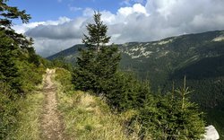 cesta, hory, příroda, Krkonoše / -ima-